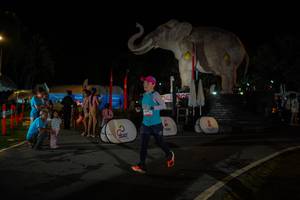 BIB: 
                            <button type="button" onclick="openModal(26552264)" class="btn btn-primary btn-sm float-right btn-popup" data-toggle="modal" data-target=".modal-high-quality">
                        <i class="fas fa-shopping-cart"></i> Add to Cart
                    </button>
                                            <button type="button" onclick="isThisMe(26552264, true)" class="btn btn-success btn-sm float-right btn-popup btn-isme hidden" data-toggle="tooltip" data-placement="bottom" title="นี่คือรูปของคุณใช่ไหม คลิกที่นี่เพื่อเอาเข้าอัลบั้ม">
                        <i class="fas fa-plus"></i> Add to album
                    </button>
                    <button type="button" onclick="isThisMe(26552264, false)" class="btn btn-warning btn-sm float-right btn-popup btn-isnotme hidden">
                        <i class="fas fa-ban"></i> Remove from album
                    </button>